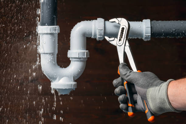 Professional Plumbing technician working in Lomira, WI